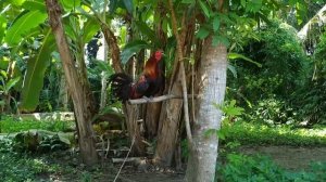 Как живут обычные люди на Филиппинах, Жизнь на островах