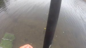 ЛОВЛЯ НА МАХОВУЮ УДОЧКУ ГЛУБОКОЙ ОСЕНЬЮ.ЛОВИМ ПЛОТВУ