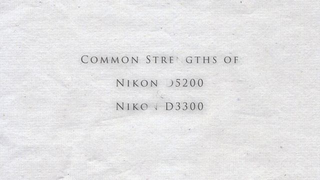 Nikon D3300 vs Nikon D5200 Comparison: Which camera is better Nikon D5200 vs Nikon D3300 смотреть онлайн