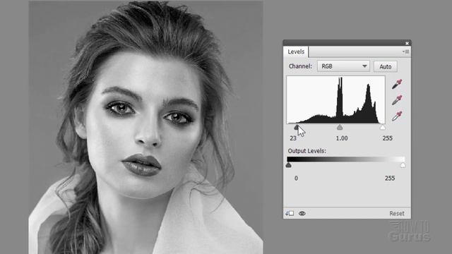 How You Can Make A Black And White Portrait Convert From Color In Photoshop Elements