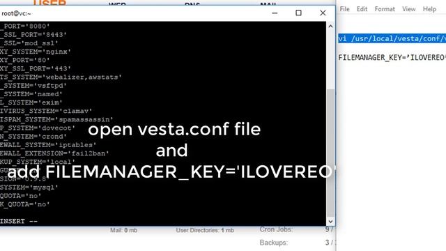 How to install VestaCP File Manager for FREE смотреть онлайн
