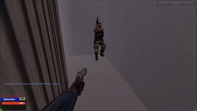 Rip In Peace Buu - Garrys Mod TTT