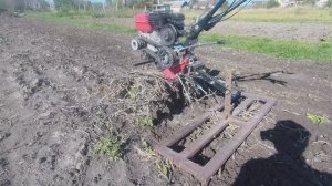 Чистим мотоблоком огород перед  осенней вспашкой.