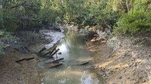 БАНГЛАДЕШ Куаката