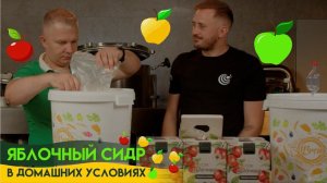 Как приготовить сидр из магазинного сока? Домашний сидр. Готовим сидр дома.