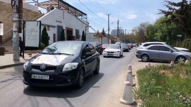 Активисты прокатились у дома Труханова смотреть онлайн