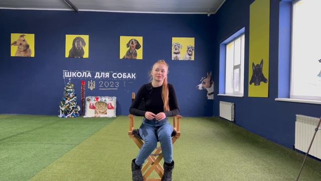 Відгук про дресирування | Ам. стафф Тортик Школа для собак DRED Дресирування собак Україна смотреть онлайн
