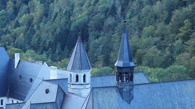 Chartreuse смотреть онлайн
