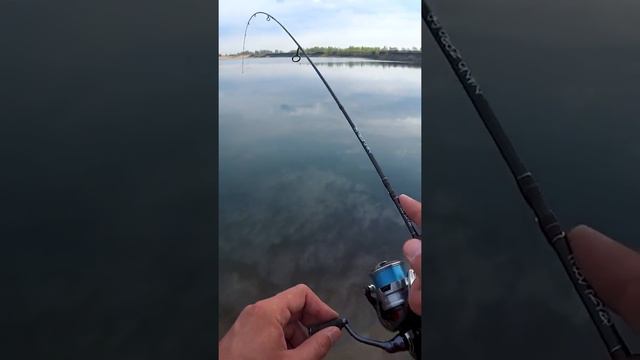 Ловля плотвы на спиннинг ► МОРМЫШИНГ смотреть онлайн