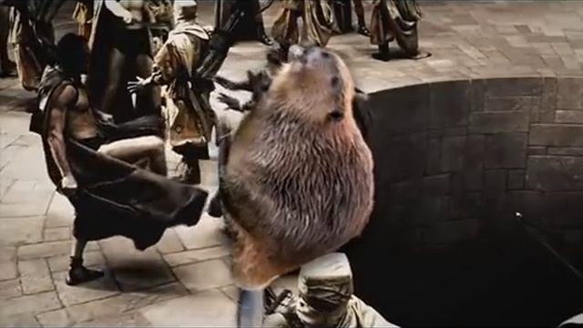 Как готовить бобров смотреть онлайн