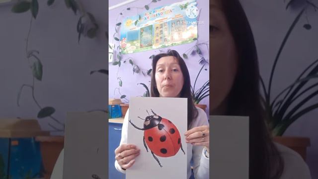 Мовленнєвий розвиток + Художня література "Різнобарвний світ квітів та комах" смотреть онлайн