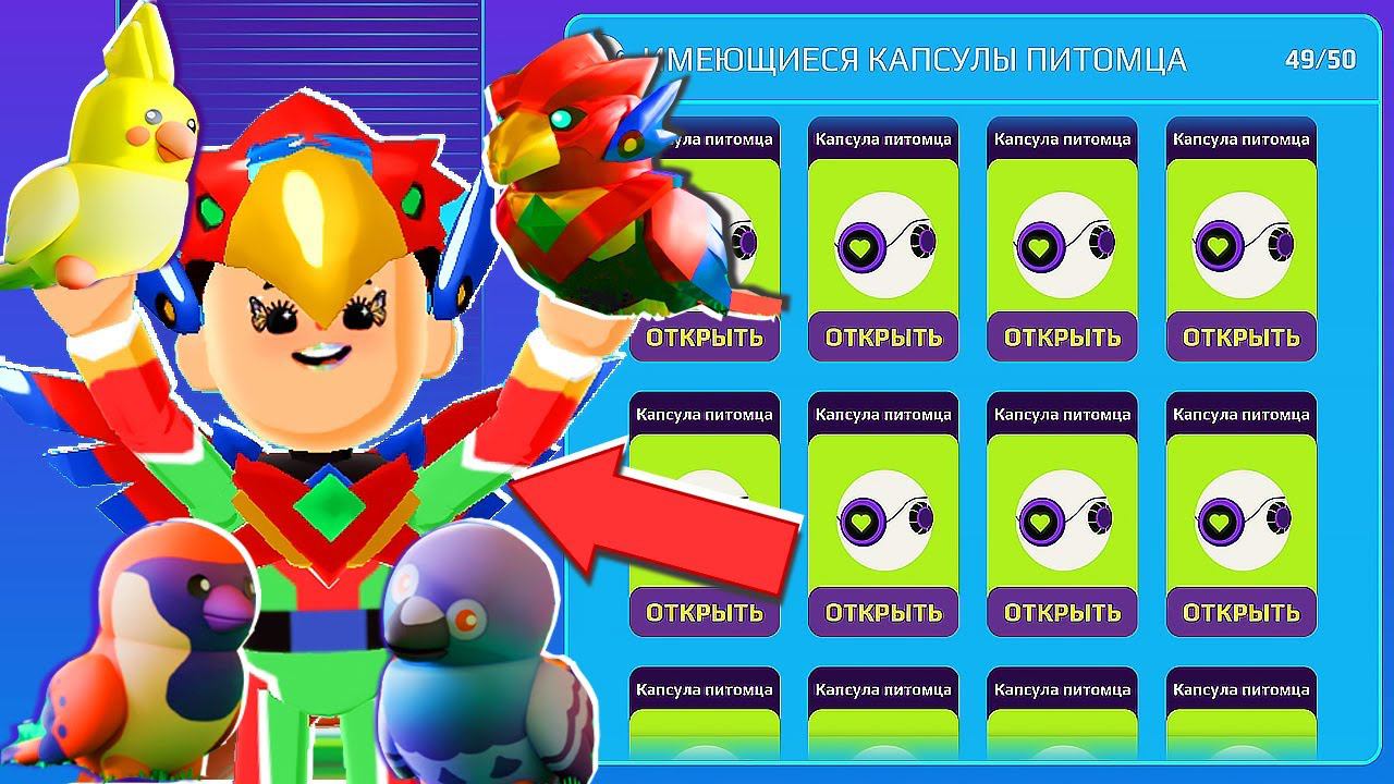 PK XD  ОБНОВЛЕНИЕ ПТИЦЫ В ИГРЕ !