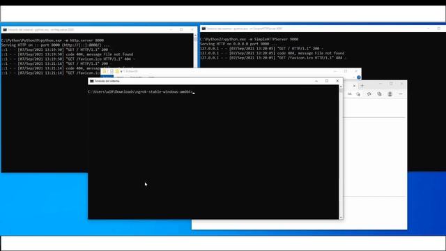 Compartir ficheros con Python y publicarlos a Internet con NGROK смотреть онлайн