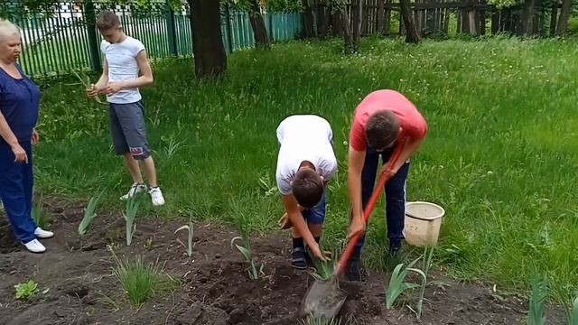 Мастер класс "Как посадить цветы" / Дорофеева Л.И. смотреть онлайн