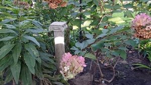 КАК создать ДЕКОР и УКРАШЕНИЯ для САДА. Идеи для сада и дачи, поделки своими руками.