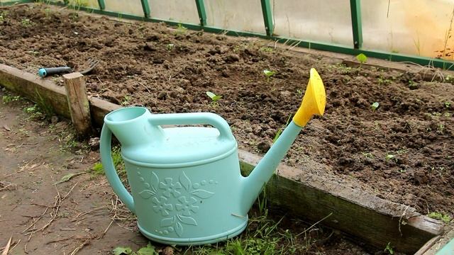 Перекопка или рыхление, удобрения для удобрений и другие ответы на вопросы смотреть онлайн