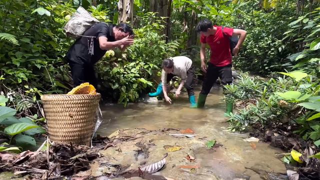 Harvesting Giant Forest Honey Goes To The Market Sell- Vàng Hoa