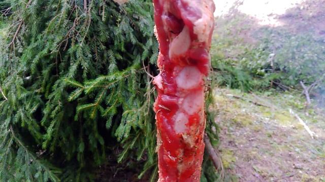 Примитивные технологии. Коптильня в лесу. Копченые рёбра весом 2 кг. Outdoors cooking. Bushcraft смотреть онлайн