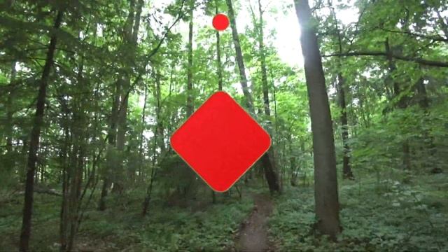 Секретные места для отдыха и рыбалки в ближайшем Подмосковье смотреть онлайн