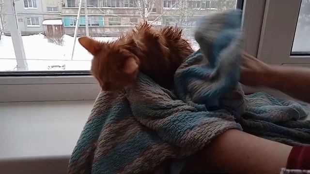 Сколько стоит коврик,расчет для заказов. смотреть онлайн