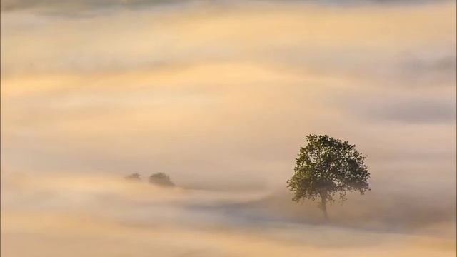 Zen Garden - Calming Sands смотреть онлайн