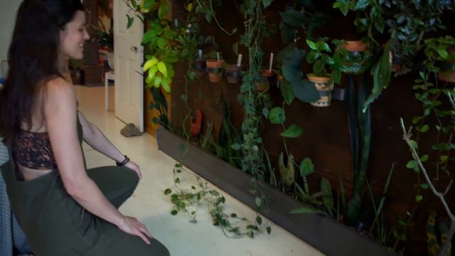 My Houseplant Home Tour: Spring 2020 — Ep 169