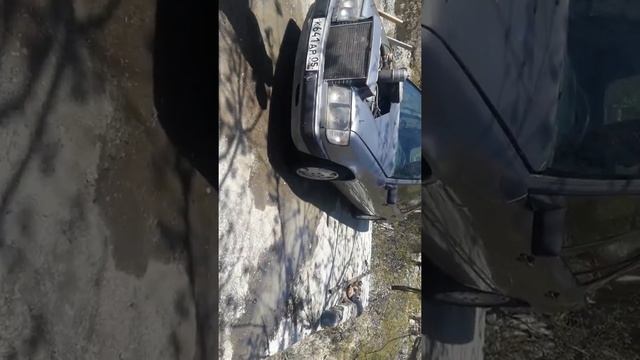 W124 с двигателем газ53