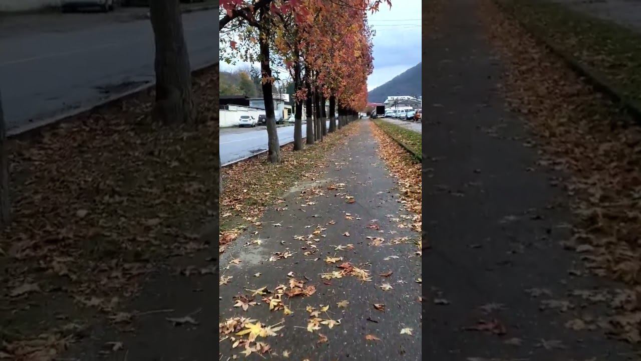 26.11.22 г.Погода Лазаревское #shorts #лазаревское2022 #погодалазаревское #погодасочи #сочисегодня смотреть онлайн