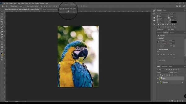 Place Embedded Feature┃Photoshop 2021 Tutorial