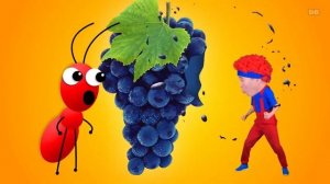 Ями Ями Ями