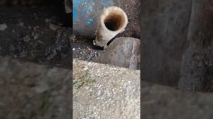 Восстановление нечитаемого номера двигателя