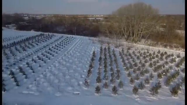 Земляника 4 смотреть онлайн