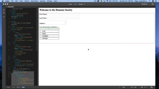 Dreamweaver CC 2020 - Forms elements Part1 смотреть онлайн