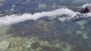 DLE Сёрфинг с бензиновым двигателем.