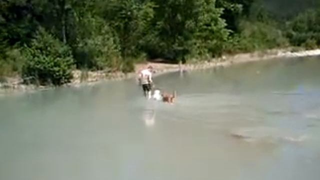 HISTOIRE D'OGUE ! смотреть онлайн