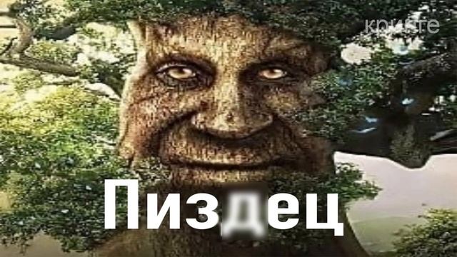 мудрый дуб смотреть онлайн