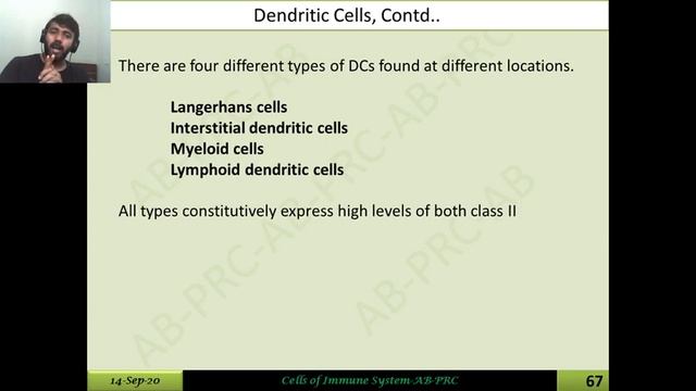 Cells of IS 7 Dendritic cells смотреть онлайн