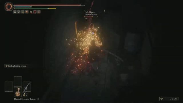 ELDEN RING - Hidden Against Assassin смотреть онлайн