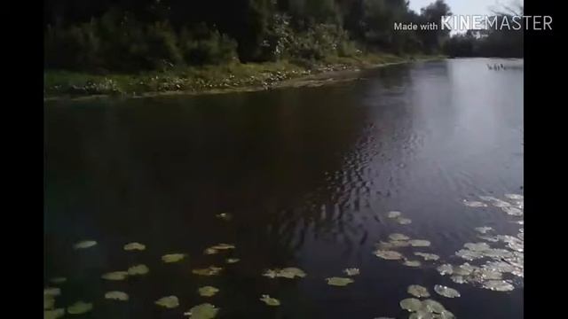 Приятная щука на спиннинг. Вечерняя рыбалка на реке Иловля. смотреть онлайн
