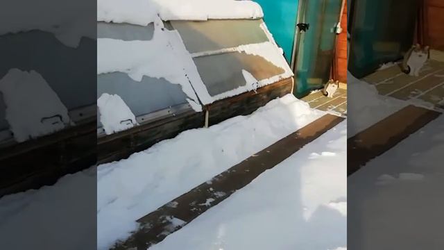 Знакомство с моими питомцами смотреть онлайн
