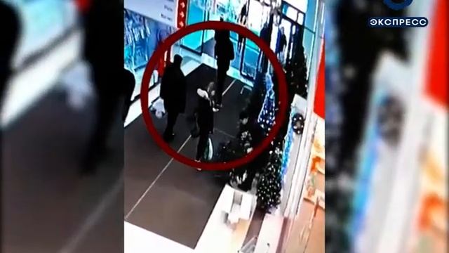 Пензячка из-за телефона не заметила, как ее обокрали смотреть онлайн