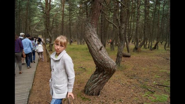 Мое слайд-шоу "Путешествие по Светлогорску" смотреть онлайн