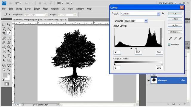 3.7 Masking a Tree Using One Channel: Adobe Photoshop CS4 Video смотреть онлайн