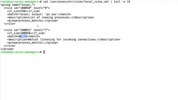 Wazuh - Detecting Netcat activity in Linux systems