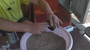 Чем покрасить затемнить прикормку своими руками