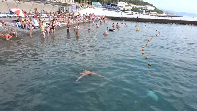 Ныряльщик за жемчугом. смотреть онлайн