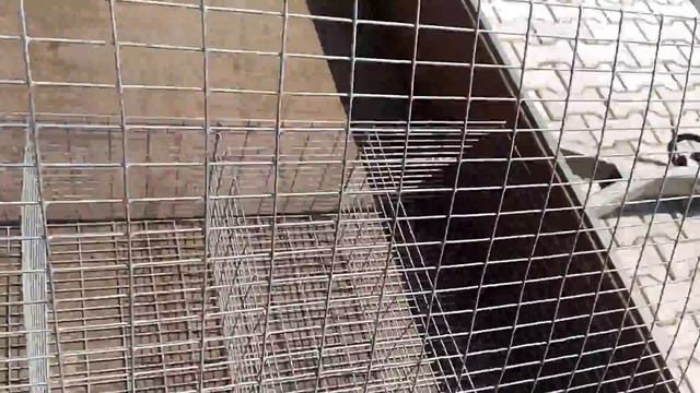 Клетка для перевозки кроликов П-10/1 смотреть онлайн