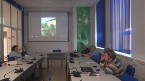 Хвойные растения в дизайне сада