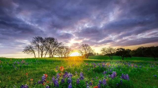 Интересные истории. Грымза. Аудио рассказы смотреть онлайн
