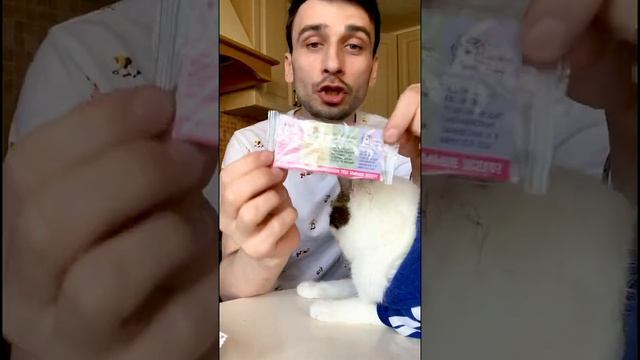 Единороги в естественной среде обитания :3 #shorts смотреть онлайн